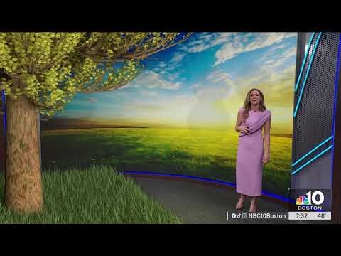 Pollen Season Is Here