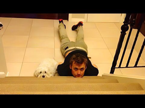 Dogs and Humans: Best Friends Forever—Sweet Animal Moments