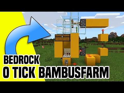 Minecraft Bambusfarm 1.16 | mit 0 Tick tausende Bambus pro Stunde