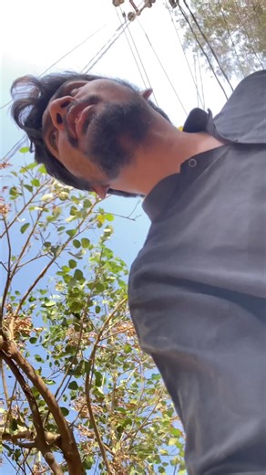 Building a Room Wall: Overcoming Challenges