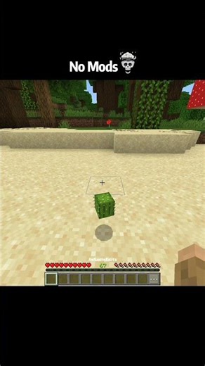 Minecraft Cactus moments