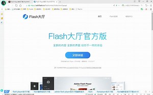 如何解决Flash插件相关的问题