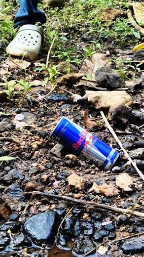 ✅Primitive Fire Making Bushcraft Skills #bushcaft #survial #camping #outdoorskills#outdoors