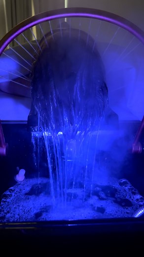Once you try it, there’s no going back. Our elevated Japanese Head Spa is the go-to treatment for those who love refined relaxation. #clarkandcowellnessspa #ocalaflorida #ocala #ocalafl #japaneseheadspa #headspa | Clark and Co Wellness Spa