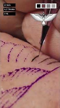 Fine Line Tattoo Tutorial 🖤 #tattoo #tattootutorial #beginners