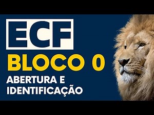 O que é o Bloco 0 na ECF? - ABERTURA E IDENTIFICAÇÃO - ECF 2022 PASSO A PASSO | Contábil Play