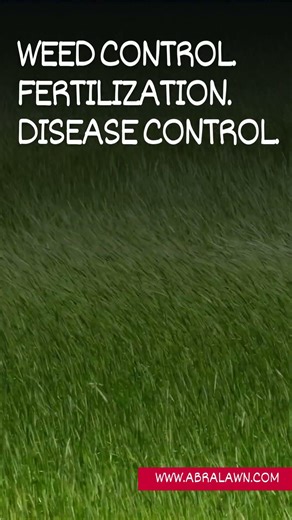 Specialized lawn care done right.