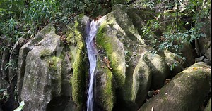 Small waterfall in Masoala national park with rich biodiversity. Madagascar virgin nature landscape, wilderness scene.