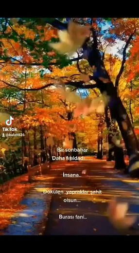 Fırat bulut 36 (@bulut_firat_36_45) adlı kullanıcının orijinal ses - Fırat bulut 36 ile oluşturduğu videoları
