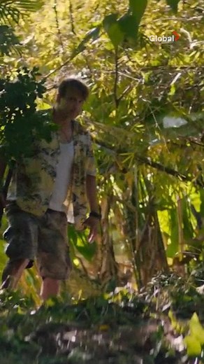 Where can I get one? 😍🐶 Catch up on last night's episode of #NCISHawaii, now on STACKTV. | Global TV