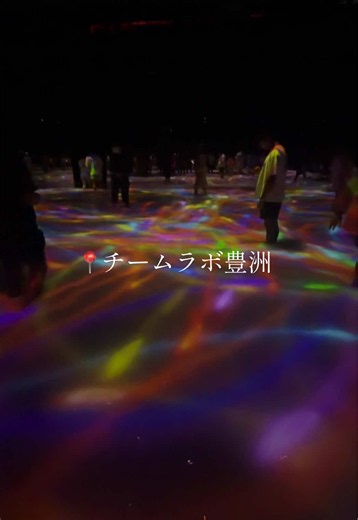 Explore the Immersive Art Experience at TeamLab Toyosu