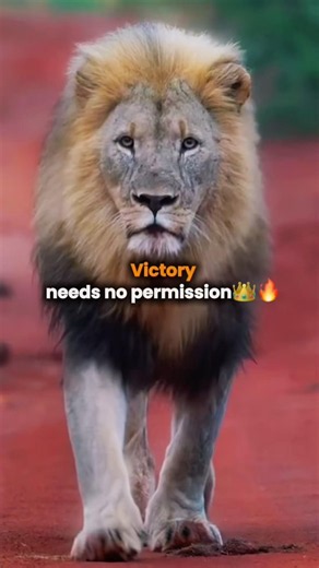 Victory needs no permission 🔥👑 #motivation #selfgrowth #realtalk #mindsetmatters #fyp #explorepage