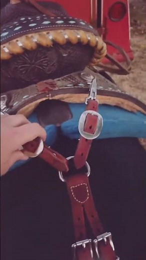 Pony/ mini horse saddle fit and using a crupper to help with saddle