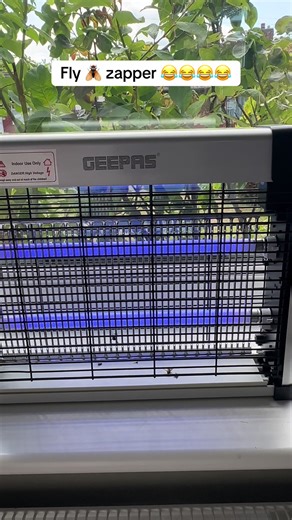 G Fly Zapper: Effective Summer Insect Control