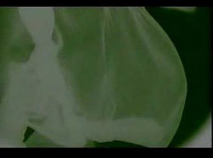 Sea Of Sorrow Lyrics by Alice In Chains