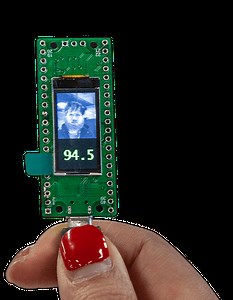 Pico4ML: Raspberry Pi RP2040 Based Board for Machine Learning