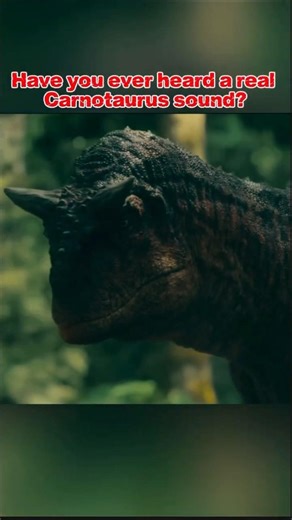 The Sound of a Carnotaurus