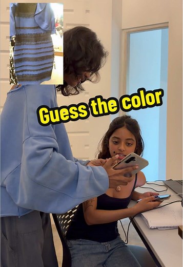 What Color Do You See? A Color Guessing Game