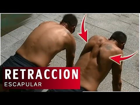 Ejercicio Flexiónes escapulares | APRENDE como hacer la RETRACCIÓN escapular