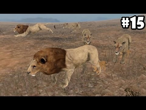 Wild Animals Online - Pride of Lions - Android/iOS - Gameplay Episode 15