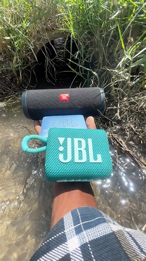 Jbl essential flip2 drop