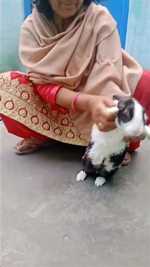 Rom rom #dance #hariyanvisong #dancemusic #haryanvisong #newharyanvisong #dancegenre #funny