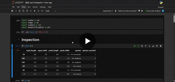 Iris Flower Classification Model: Overfitting and Validation | Om Shah posted on the topic | LinkedIn