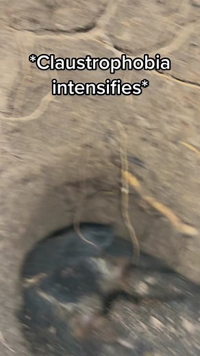 Hannah Doll on TikTok