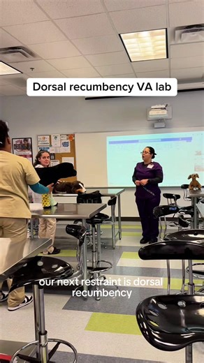 Hands-On Animal Restraint Training at HCI College VA Lab