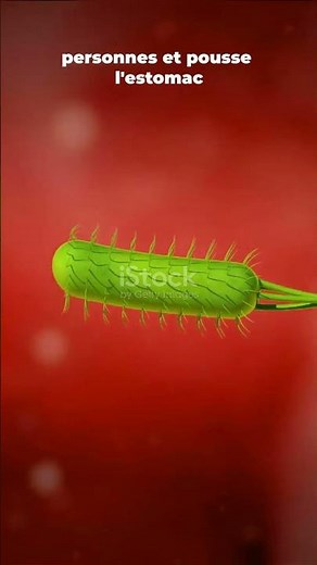 💥 Voici la bactérie responsable de ton mal d’estomac !