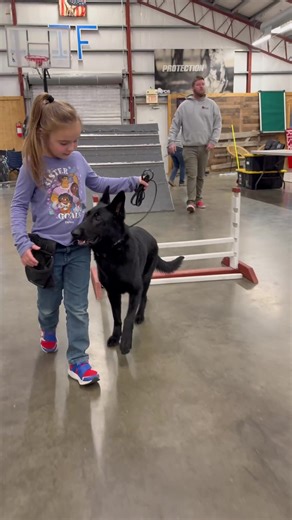 Meet Yumi: Your Future Family Protection Dog