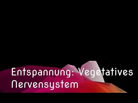 Entspannung: Vegetatives Nervensystem