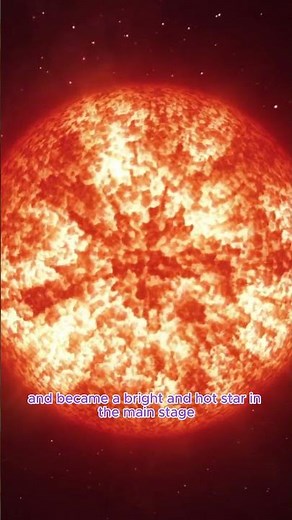 How does suns life cycle look like?