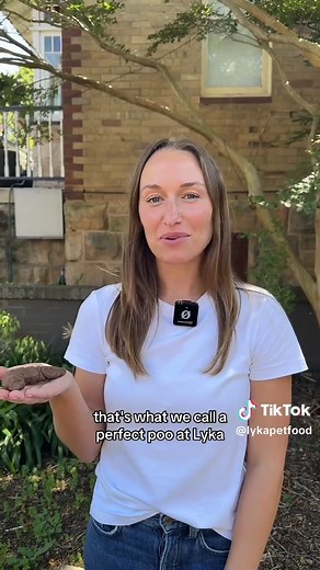 Understanding Healthy Dog Poo: Key Indicators