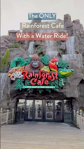 Rainforest Cafe in Galveston: The Only Location With a Water Ride #galvestontexas #attractions