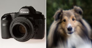 How to Build a Soft Focus DSLR Lens for Only $15