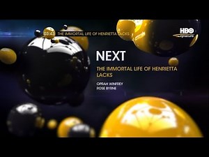 HBO Signature - Continuity [8 April 2024]