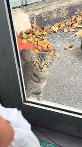 19 reactions · 12 shares | Semoga Allah Swt permudahkan rezeki mu ..amin | Ak Viral Team | Facebook