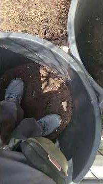 Μεταφυτεύσεις & κηπουρικές εργασίες με την υπογραφή Τεχνολόγου Γεωπόνου! 🌱 #gardening #plants