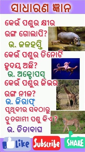 ଓଡ଼ିଆ ସାଧାରଣ ଜ୍ଞାନ