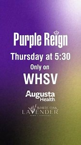 Get ready for JMU’s College Football Playoff debut with the WHSV Sports special, “Purple Reign.” Tune in to WHSV on Thursday at 5:30 p.m. for insights, highlights and predictions from Jarvis Haren & Connor Burgan. | WHSV - TV 3