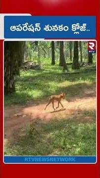 ఆపరేషన్ శునకం క్లోజ్.. | BIG Twist In Kakinada Missing Girl Mystery | RTV