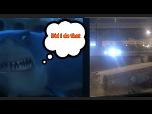 when bruce the shark 🦈 accidentally knocks a train over meme
