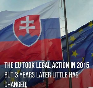 25K views · 68 reactions | What are the big challenges Roma face in Slovakia? We talked to the Council of Europe Commissioner for Human Rights, Nils Muižnieks. For the full interview follow the link: https://www.youtube.com/watch?v=eLT8ixQJi7Q | European Roma Rights Centre | Facebook