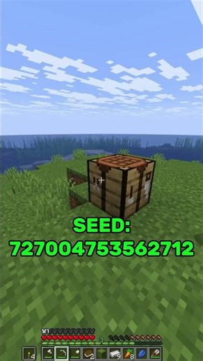 This Is the BEST Seed in Minecraft… 🌍