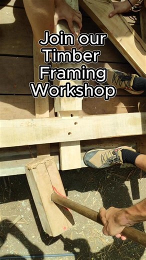 3.8K views · 49 reactions | The ancient art of Timber Framing is one...