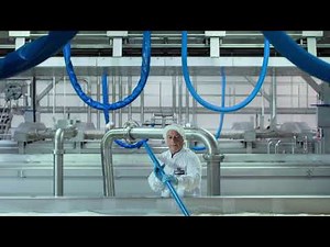 Beemster® kaas: Kaasmakerij