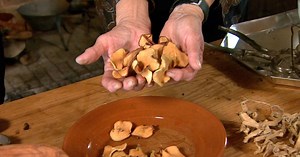 Almanac Gardener:Colonial Kitchen