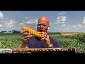 Ted Seifried LIVE from the Field of the Pro Farmer Crop Tour |RFD-TV| 8/19/21