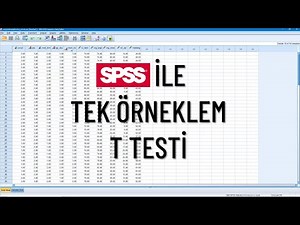 One Sample T Test with SPSS | With its Purpose and Prerequisites